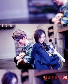 鹿晗私下追热巴爆料最新,甜蜜互动曝光引粉丝热议